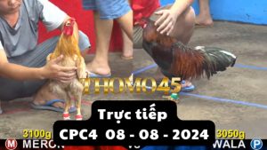 Trực Tiếp thomo CPC4 ngày 08-08-2024