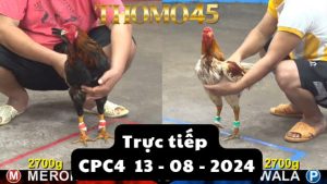 Trực Tiếp thomo CPC4 ngày 13-08-2024