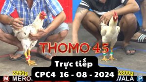 Trực Tiếp thomo CPC4 ngày 16-08-2024
