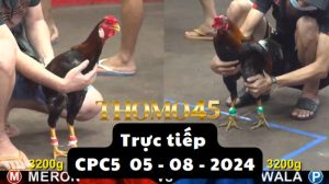 Trực Tiếp thomo CPC5 ngày 05-08-2024