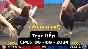 Trực Tiếp thomo CPC5 ngày 06-08-2024