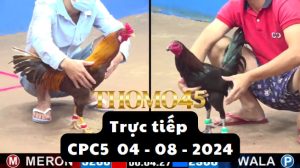 Trực Tiếp thomo CPC5 ngày 04-08-2024