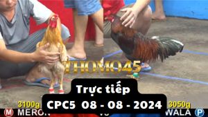 Trực Tiếp thomo CPC5 ngày 08-08-2024