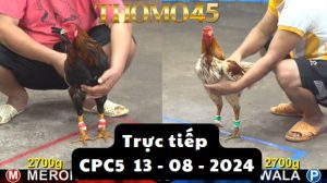 Trực Tiếp thomo CPC5 ngày 13-08-2024