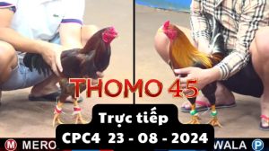 Trực Tiếp thomo CPC4 ngày 23-08-2024