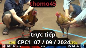 Trực Tiếp thomo CPC1 ngày 07-09-2024