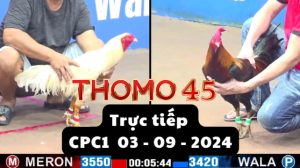 Trực Tiếp thomo CPC1 ngày 03-09-2024
