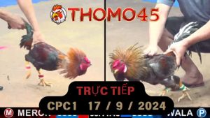 Trực Tiếp thomo CPC1 ngày 17-09-2024