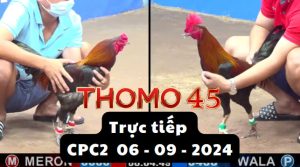 Trực Tiếp thomo CPC2 ngày 06-09-2024