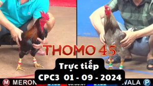 Trực Tiếp thomo CPC3 ngày 01-09-2024