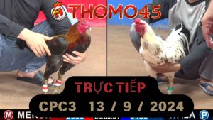 Trực Tiếp thomo CPC3 ngày 13-09-2024