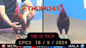 Trực Tiếp thomo CPC3 ngày 18-09-2024