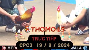 Trực Tiếp thomo CPC3 ngày 19-09-2024