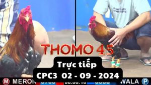 Trực Tiếp thomo CPC3 ngày 02-09-2024