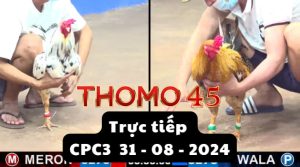 Trực Tiếp thomo CPC3 ngày 31-08-2024