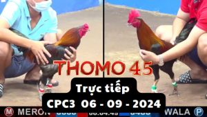 Trực Tiếp thomo CPC3 ngày 06-09-2024