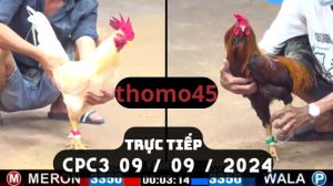 Trực Tiếp thomo CPC3 ngày 09-09-2024