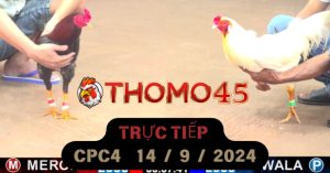 Trực Tiếp thomo CPC4 ngày 14-09-2024