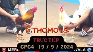 Trực Tiếp thomo CPC4 ngày 19-09-2024