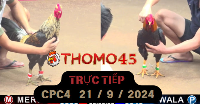 Trực Tiếp thomo CPC4 ngày 21-09-2024