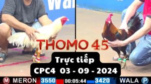 Trực Tiếp thomo CPC4 ngày 03-09-2024