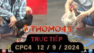 Trực Tiếp thomo CPC4 ngày 12-09-2024