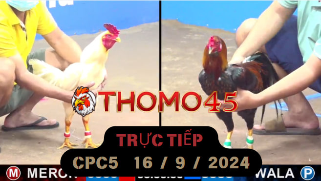 Trực Tiếp thomo CPC5 ngày 16-09-2024