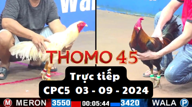 Trực Tiếp thomo CPC5 ngày 03-09-2024