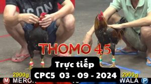 Trực Tiếp thomo CPC5 ngày 04-09-2024
