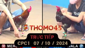 Trực Tiếp thomo CPC1 ngày 07-10-2024