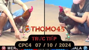 Trực Tiếp thomo CPC4 ngày 07-10-2024