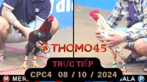 Trực Tiếp thomo CPC4 ngày 08-10-2024